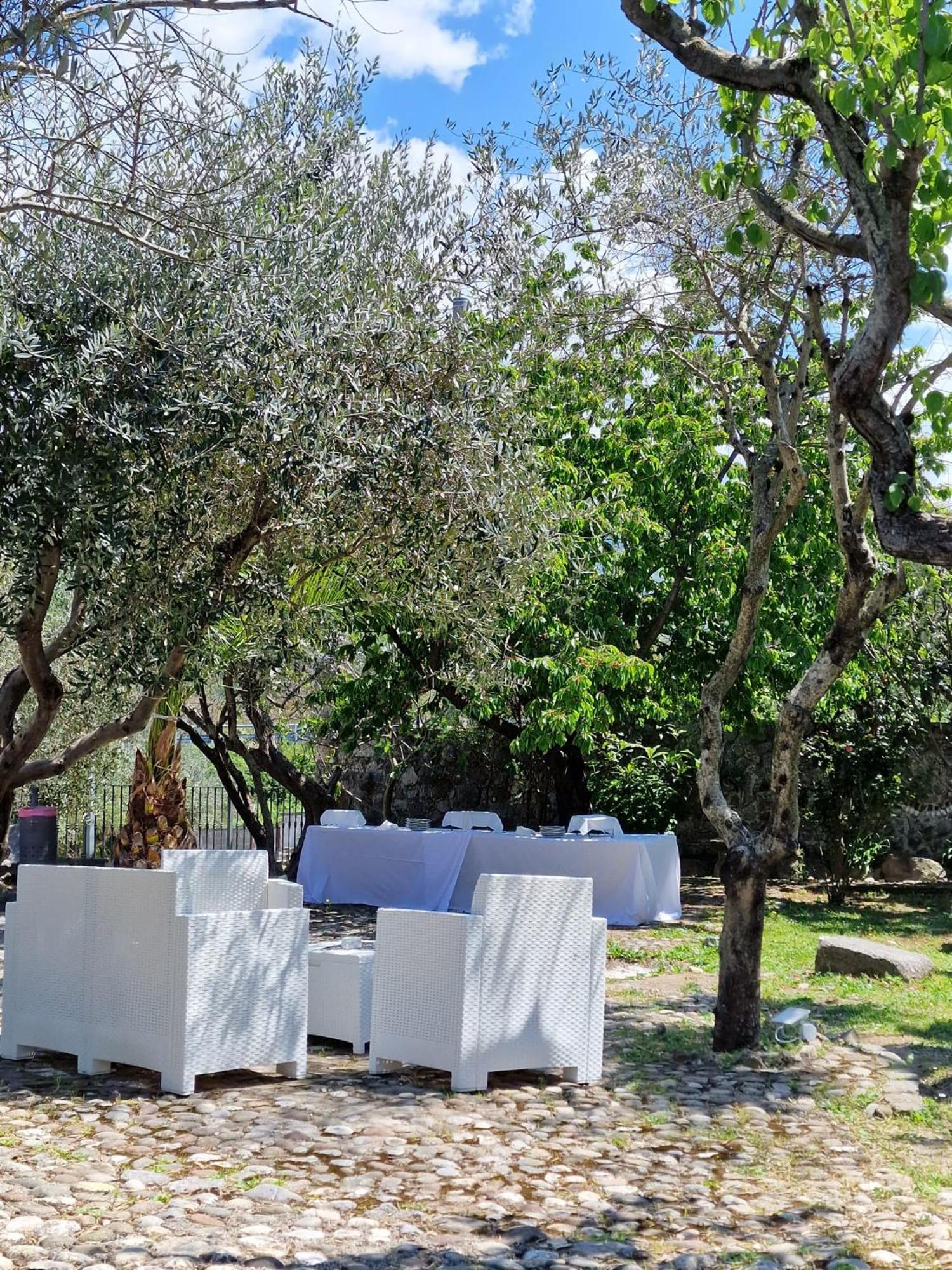 Tenuta Oliva Fisciano Exterior foto