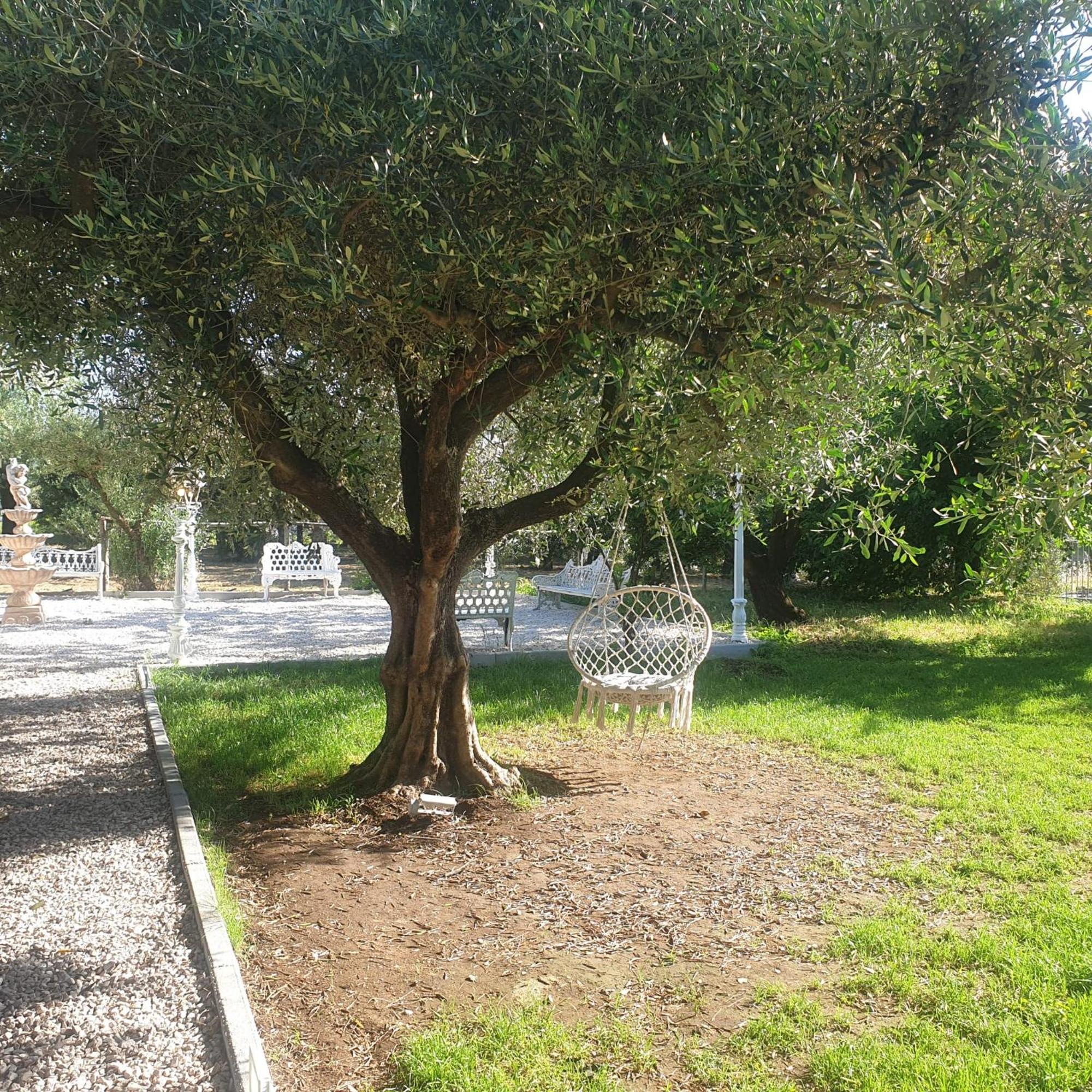 Tenuta Oliva Fisciano Exterior foto